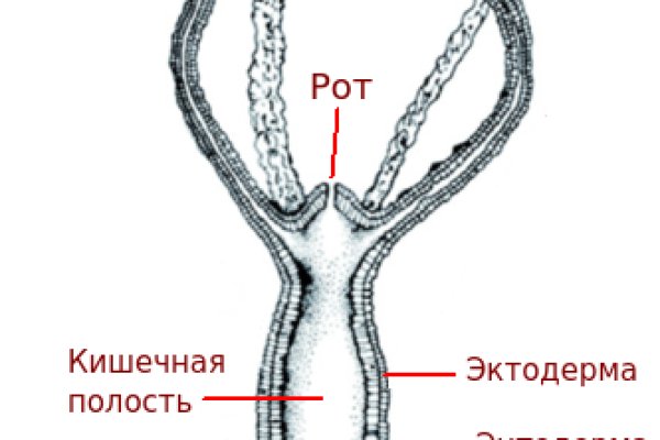 Ссылка на кракен в тор браузере