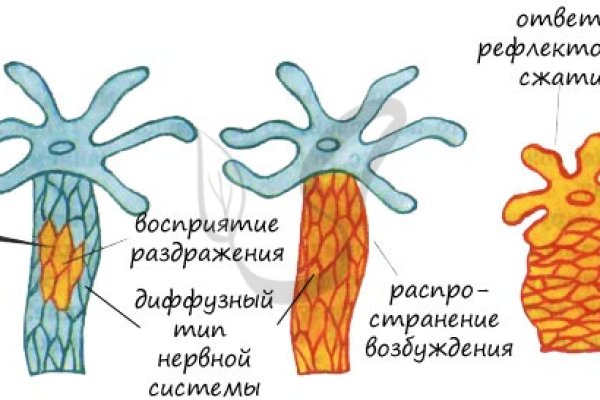 Ссылка на кракен 14ат